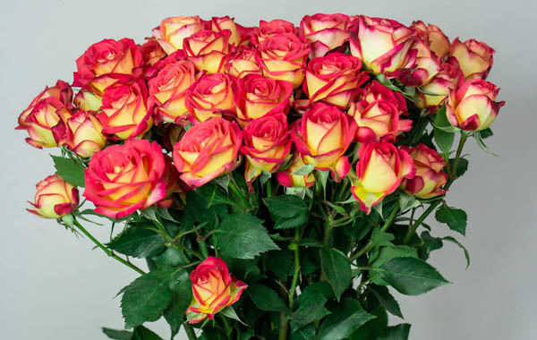 букет цветов из кустовых роз
