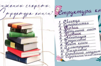 структура книги